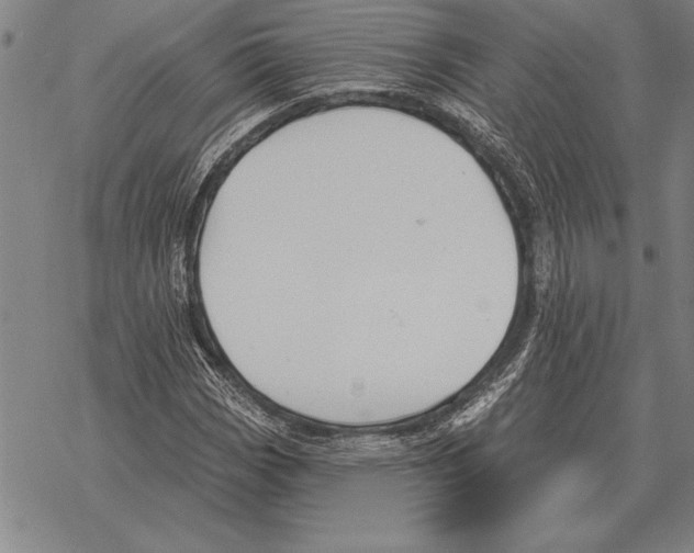 X0000068271113200605191821