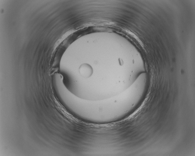 X0000068271114200605191821