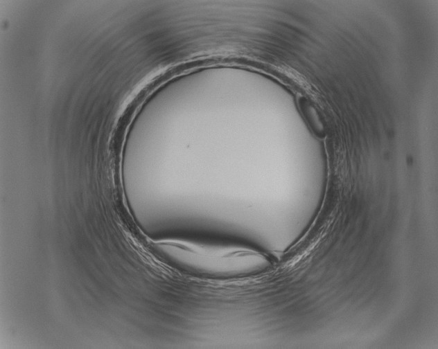 X0000068271118200605191821