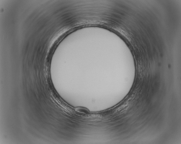 X0000068271119200605191821