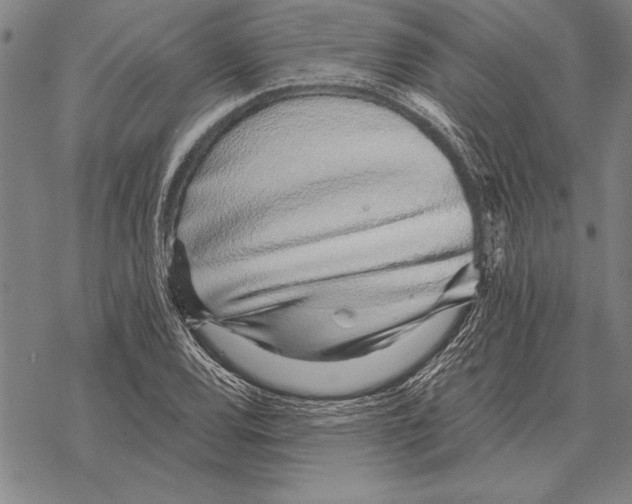 X0000068271120200605191821