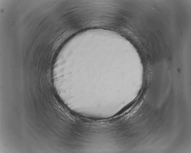 X0000068271121200605191821