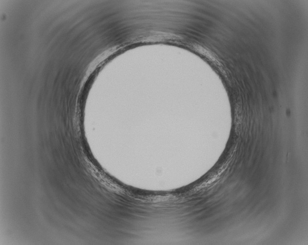 X0000068271122200605191821