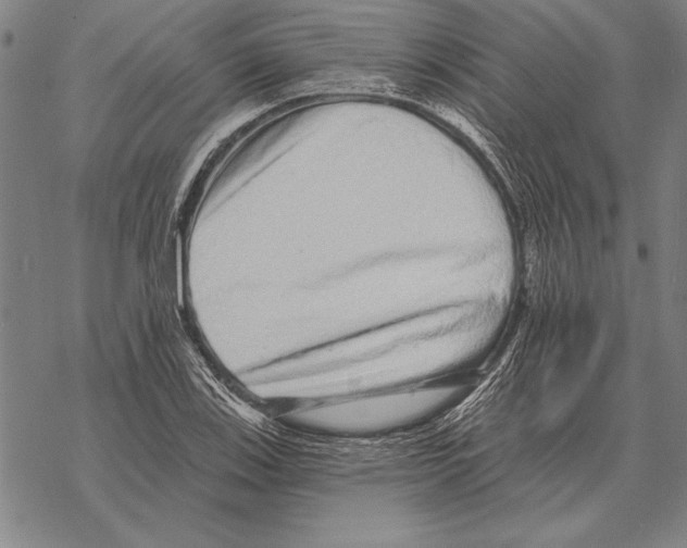 X0000068271123200605191821