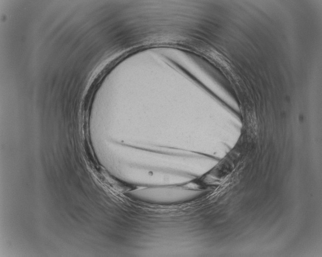 X0000068271124200605191821