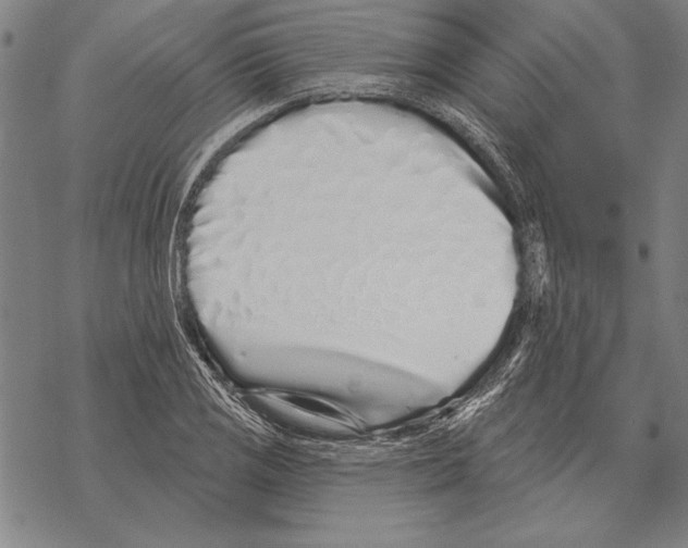 X0000068271125200605191821