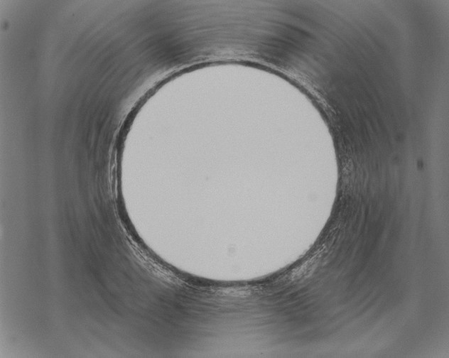 X0000068271126200605191821