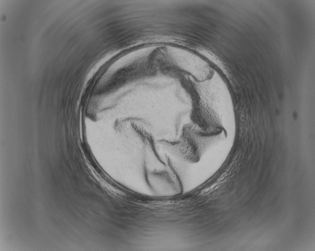 X0000068271127200605191821