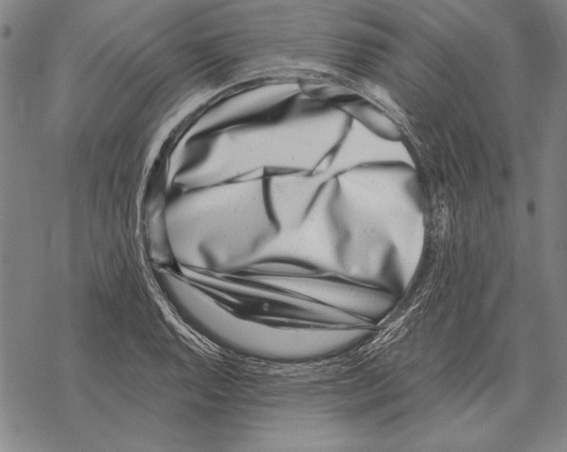 X0000068271128200605191821