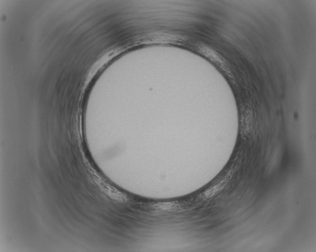 X0000068271130200605191821