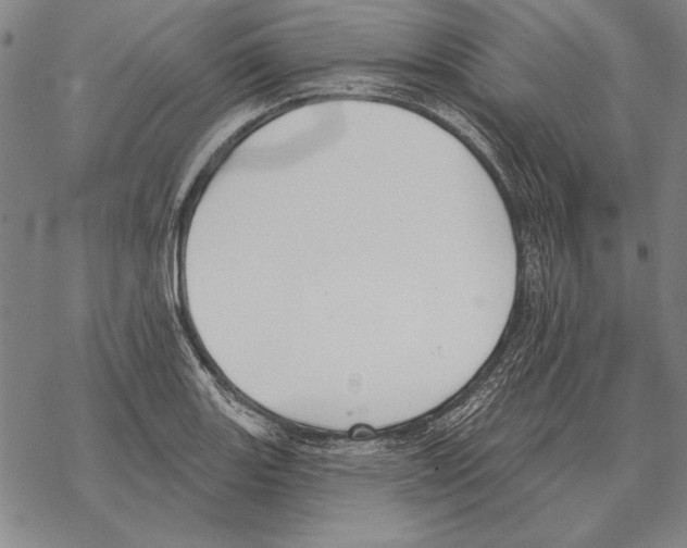 X0000068271131200605191821