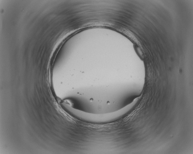 X0000068271132200605191821