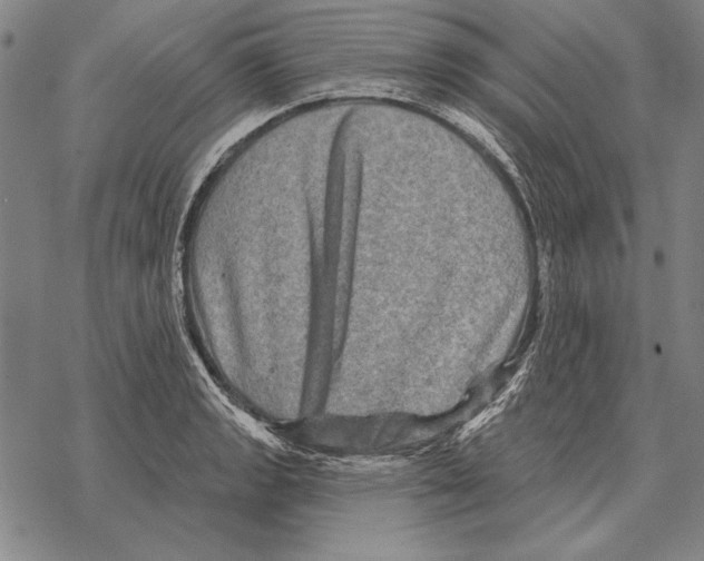 X0000068271133200605191821