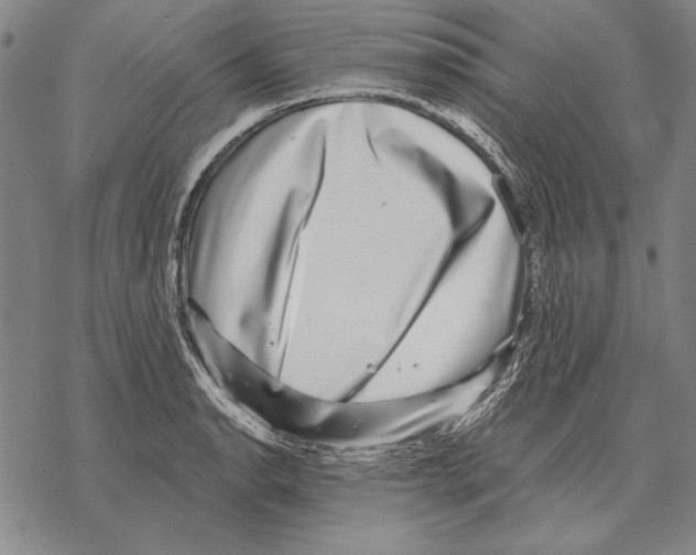 X0000068271134200605191821