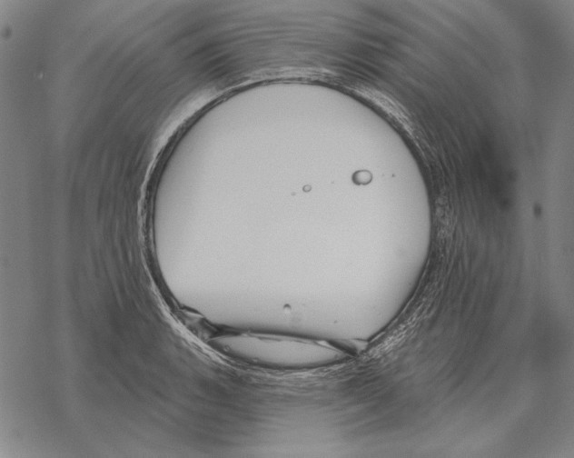 X0000068271135200605191821