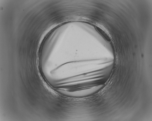 X0000068271136200605191821