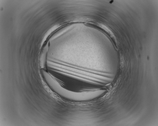 X0000068271138200605191821