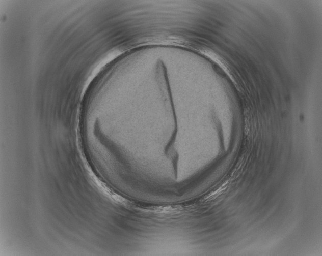 X0000068271139200605191821