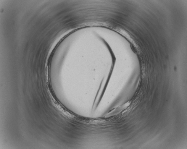 X0000068271140200605191821