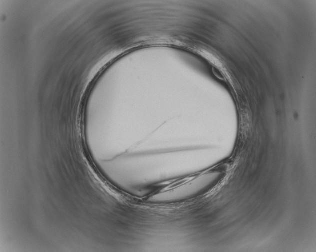 X0000068271141200605191821