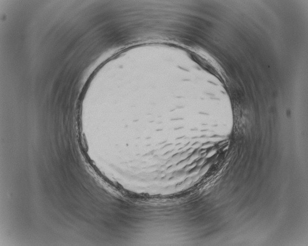 X0000068271142200605191821