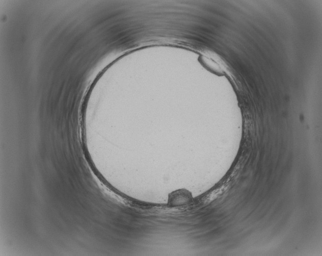 X0000068271143200605191821