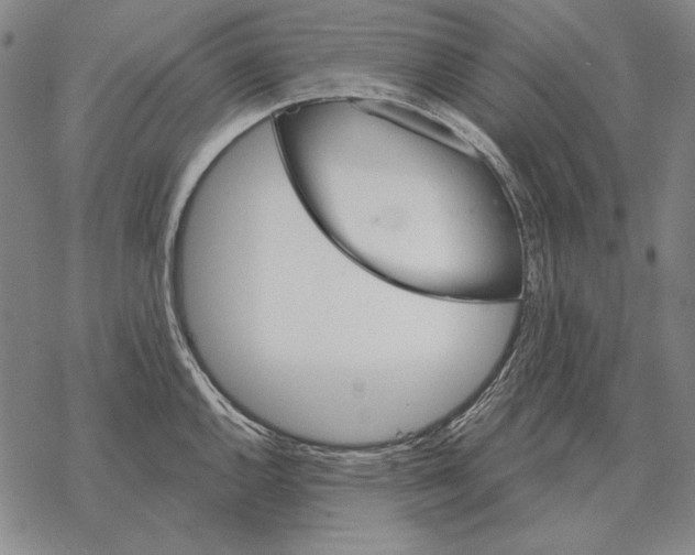 X0000068271144200605191821