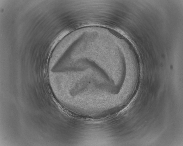 X0000068271145200605191821