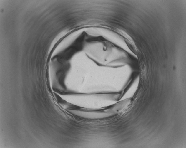 X0000068271146200605191821