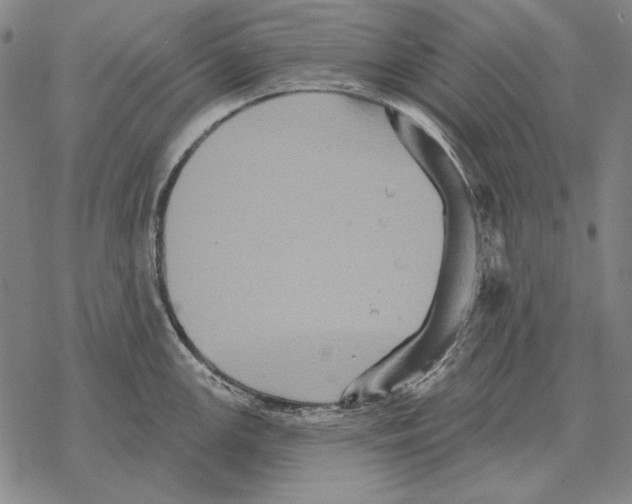 X0000068271147200605191821