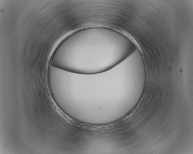 X0000068271148200605191821