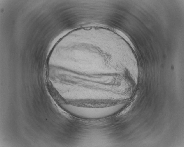 X0000068271149200605191821