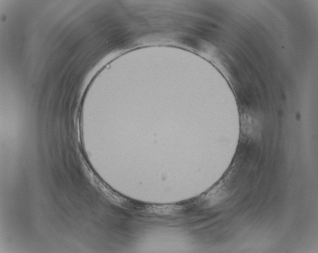 X0000068271150200605191821