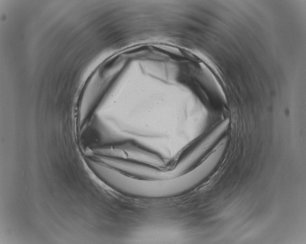 X0000068271151200605191821