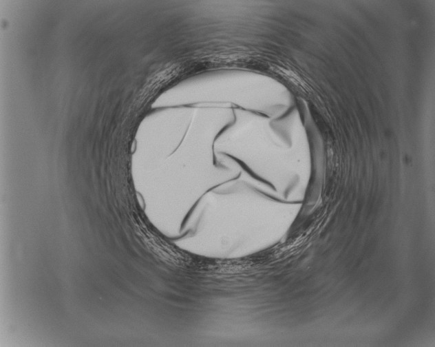 X0000068271153200605191821