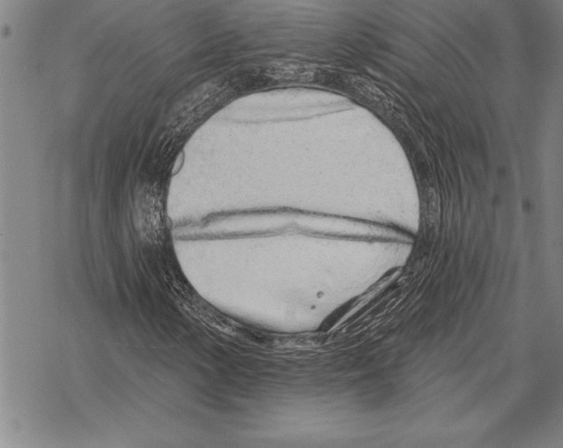 X0000068271154200605191821