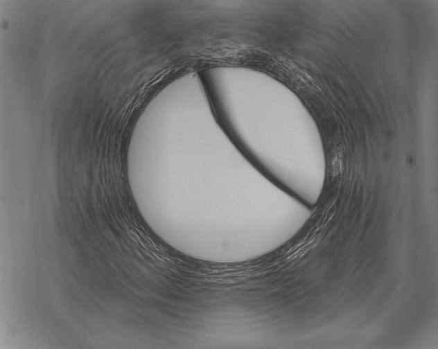 X0000068271156200605191821