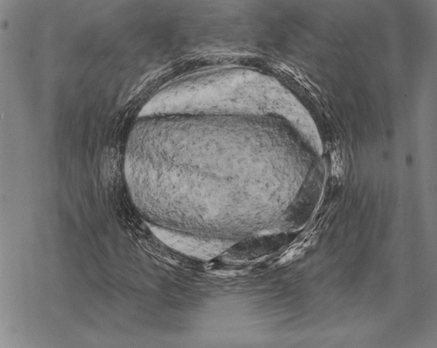 X0000068271157200605191821