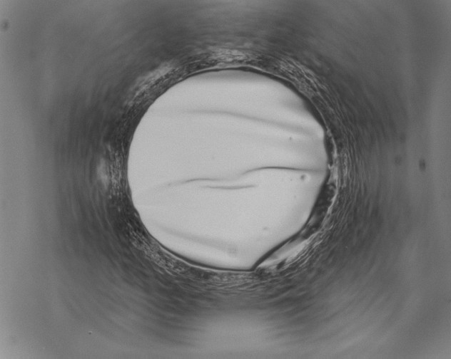 X0000068271158200605191821