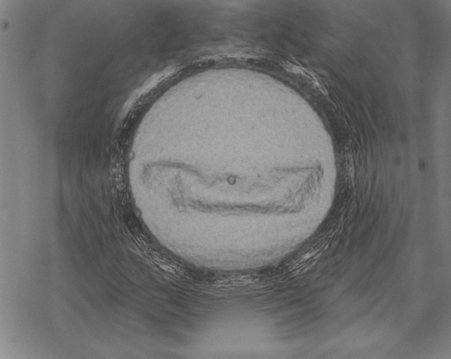 X0000068271159200605191821