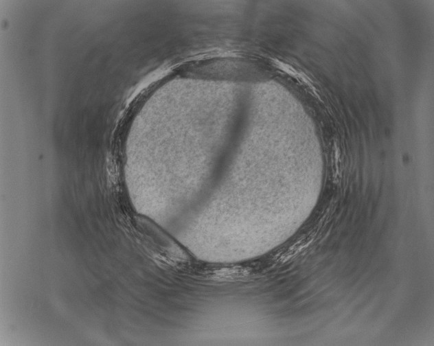 X0000068271160200605191821