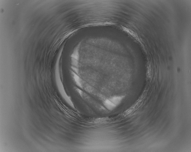 X0000068271161200605191821