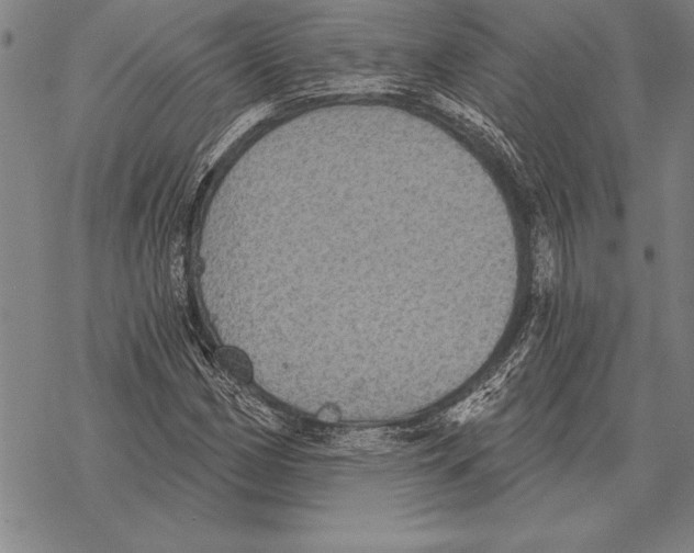 X0000068271162200605191821