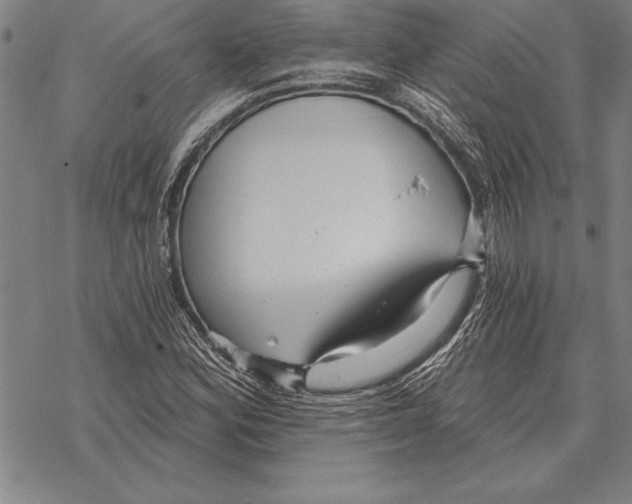 X0000068271164200605191821