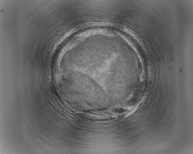 X0000068271165200605191820