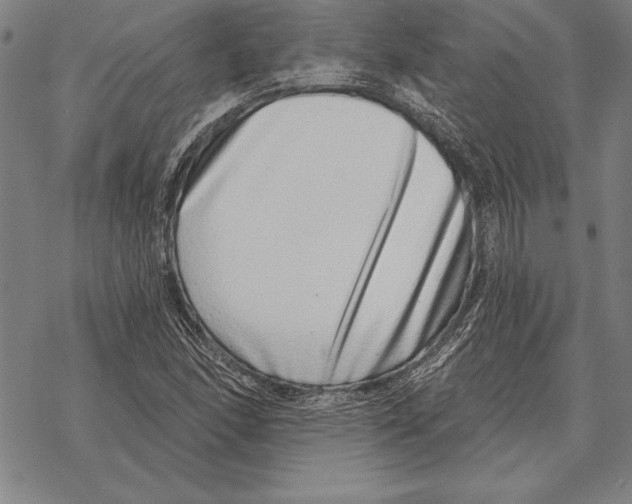 X0000068271166200605191820