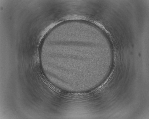 X0000068271167200605191820