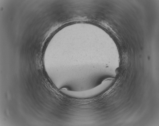 X0000068271168200605191820