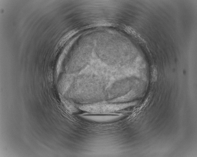 X0000068271169200605191820