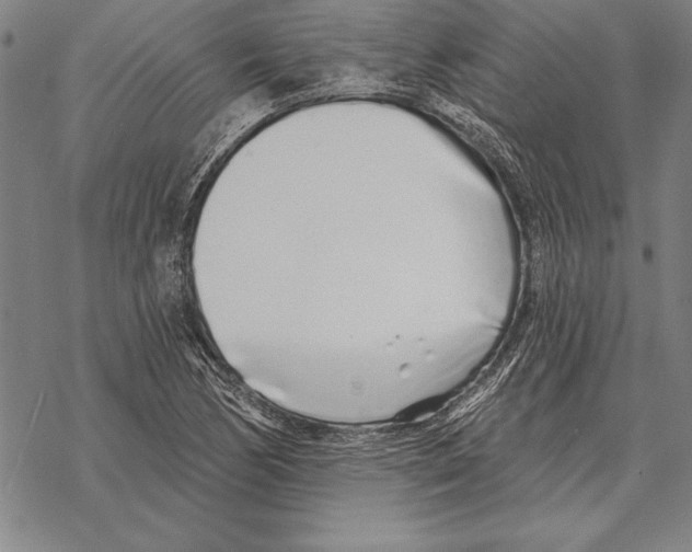 X0000068271170200605191820